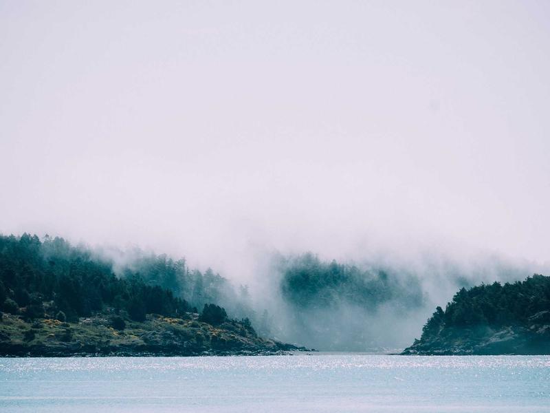 community screenshot 6